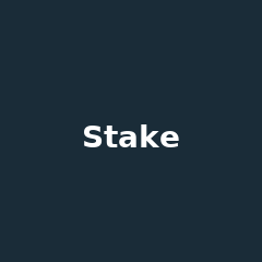 Stake Casino
